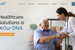 Website Development for Healthcare Solutions